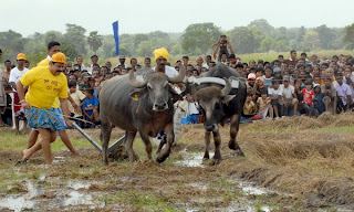 Ploughing%20Ceremony%20-3.jpg