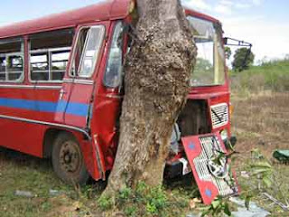 bus.jpg