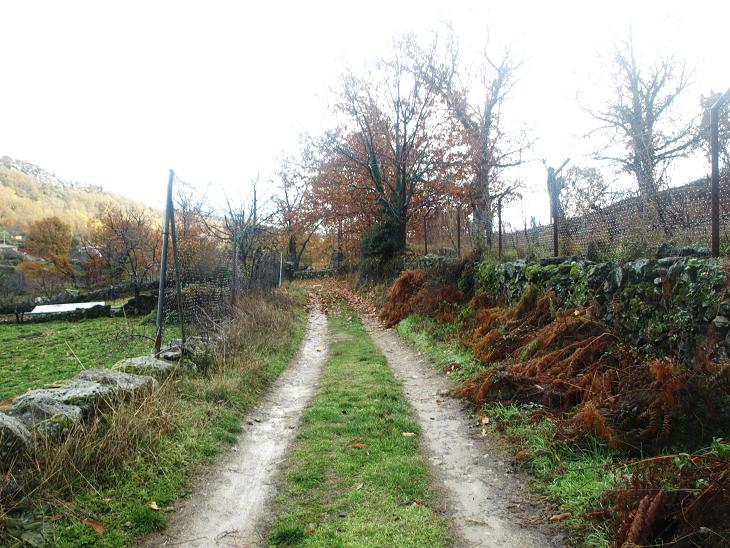 Viajar En Mi Nube Particular II En la Vereda