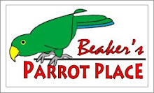 Beaker's Parrot Place