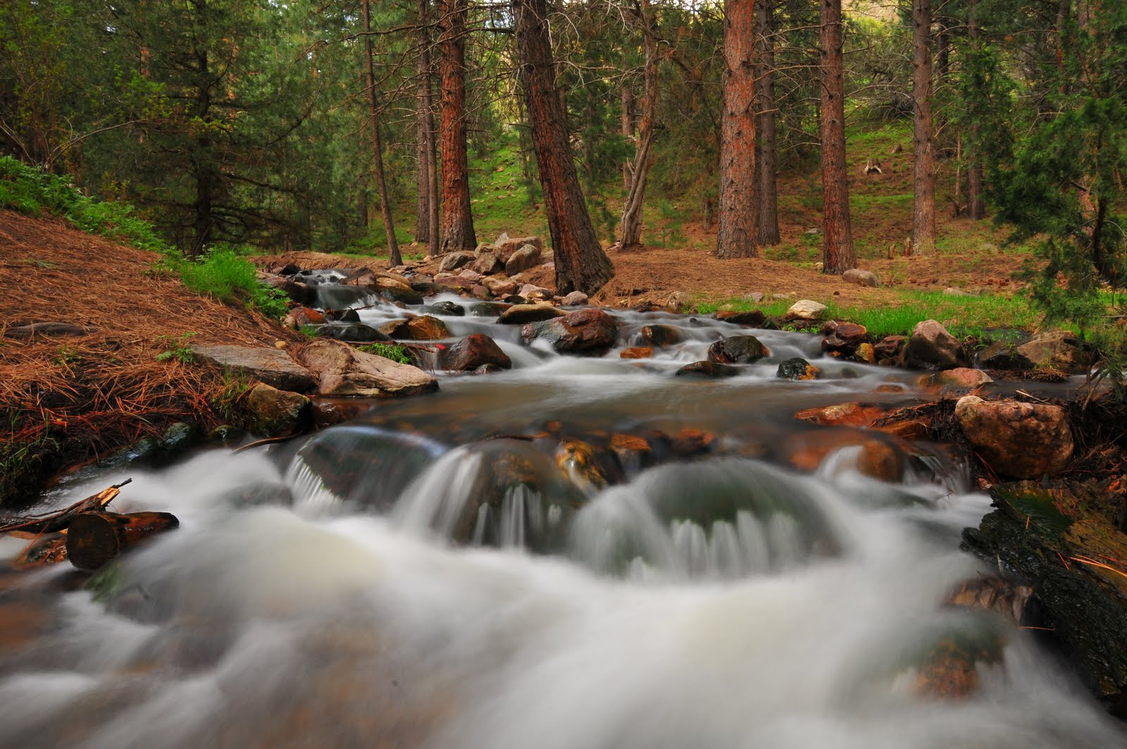 the world through my lens Delta, Utah