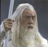 Gandalf, aka Dumbledore, es un brujo gay