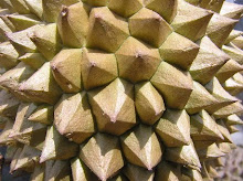 El durián.