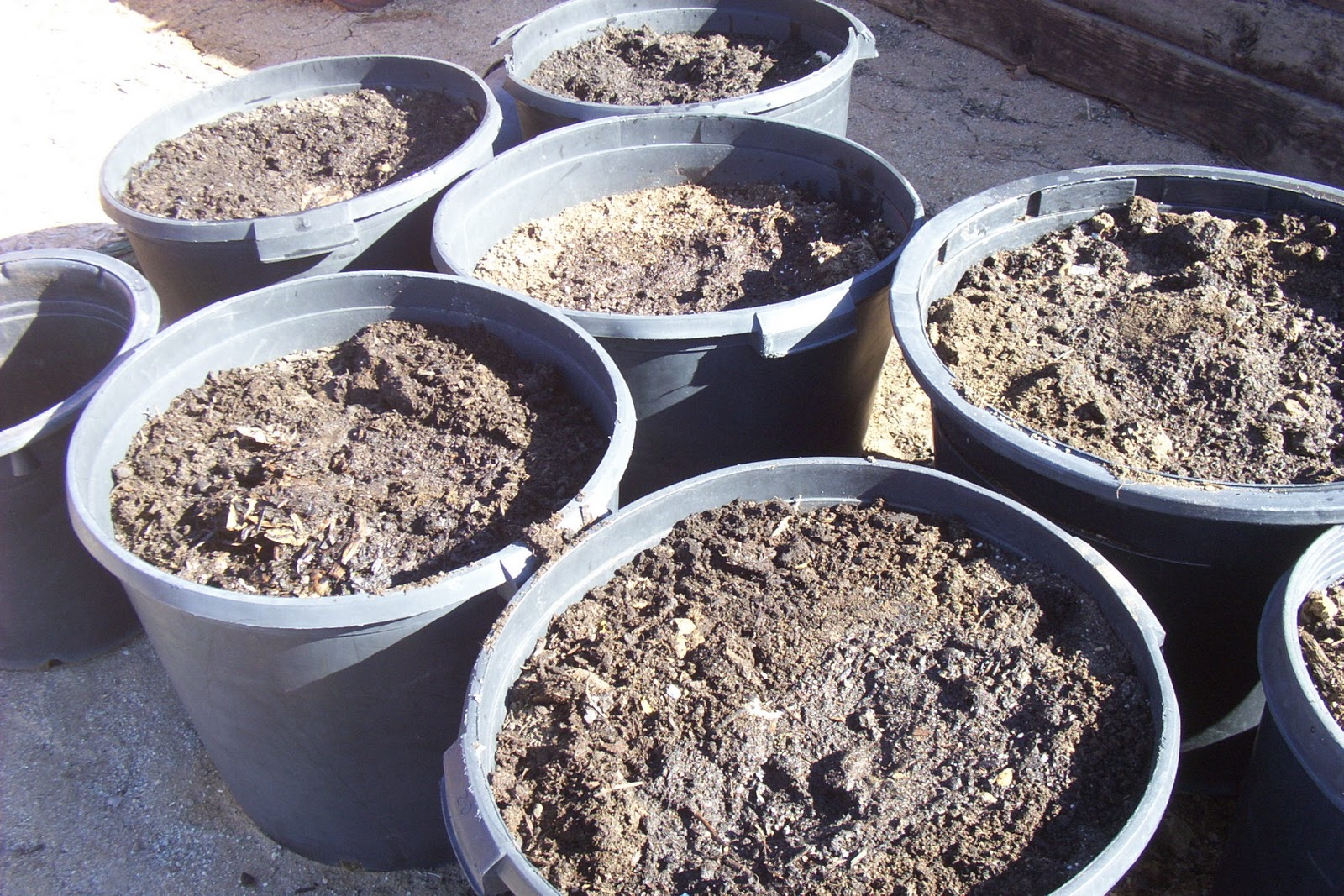 How Does My Garden Grow Compost Buckets