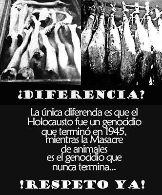 Gato Clonado: ¿Diferencia entre animales y humanos?