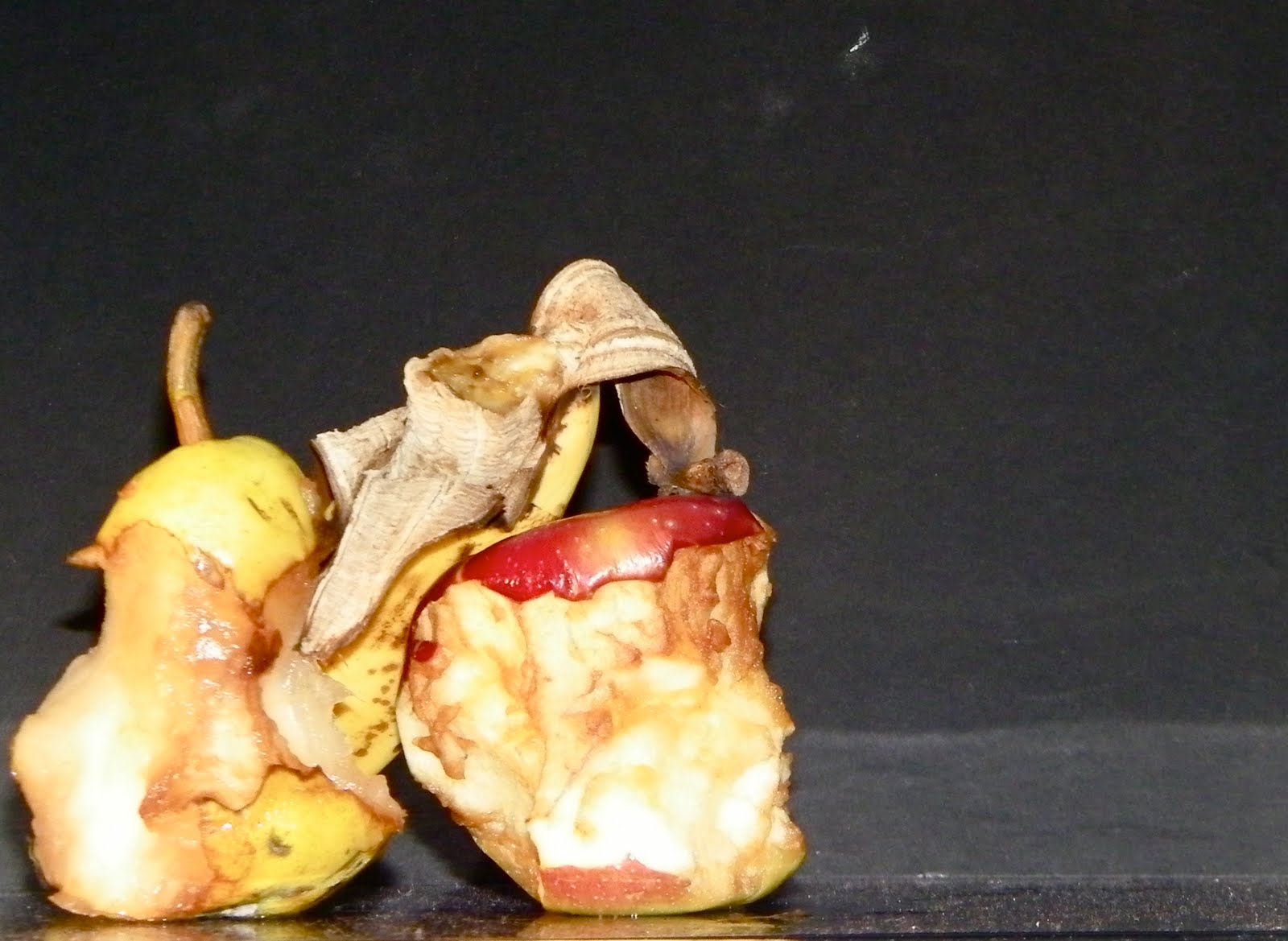 corinnehalpern;designOD inspirations (the beautiful art of rotting fruit)