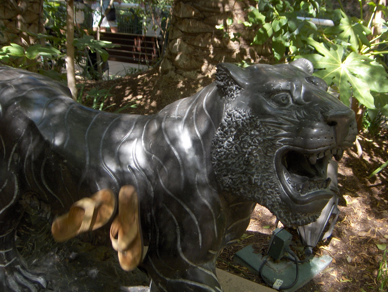 [flip+flops+at+tiger+garden.JPG]
