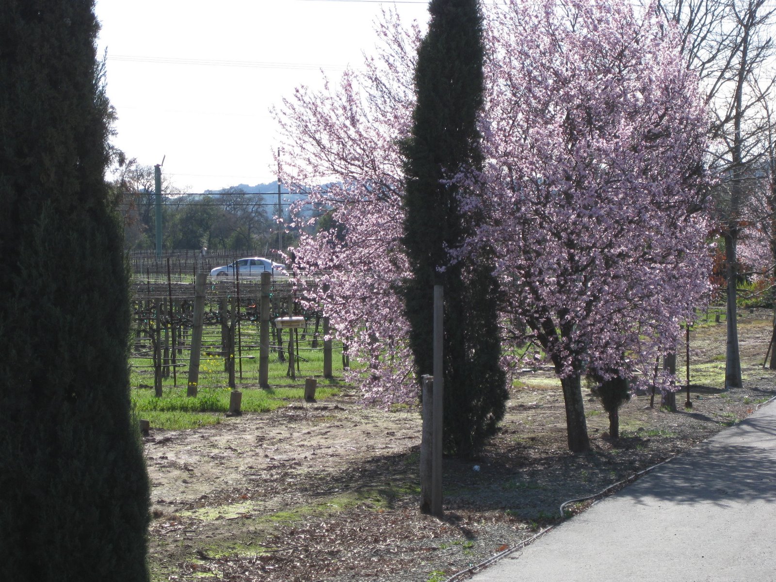 [Picture+017.jpg]