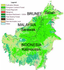 Borneo land