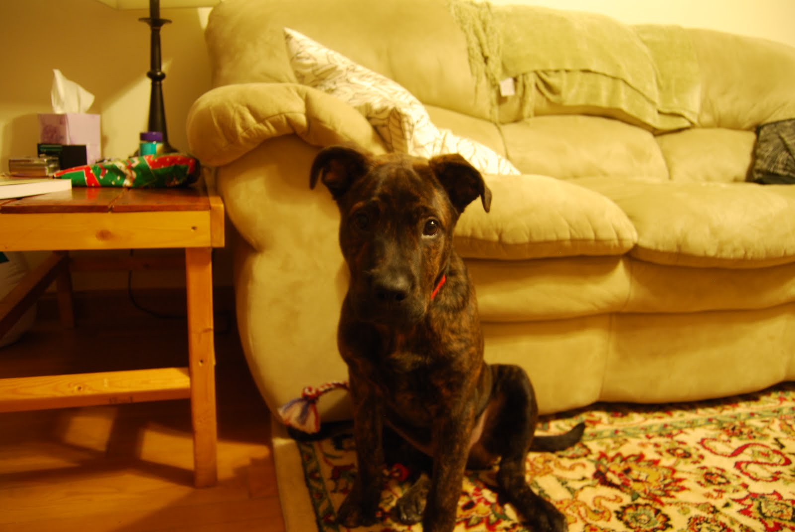 [December+2009+051.jpg]