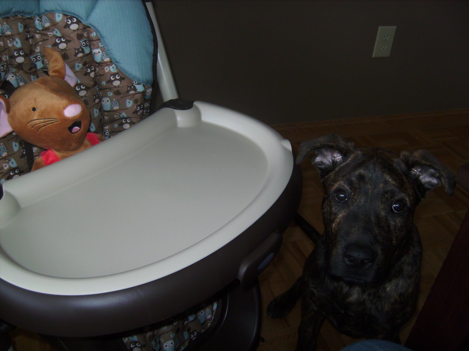 [February+2010+009.jpg]