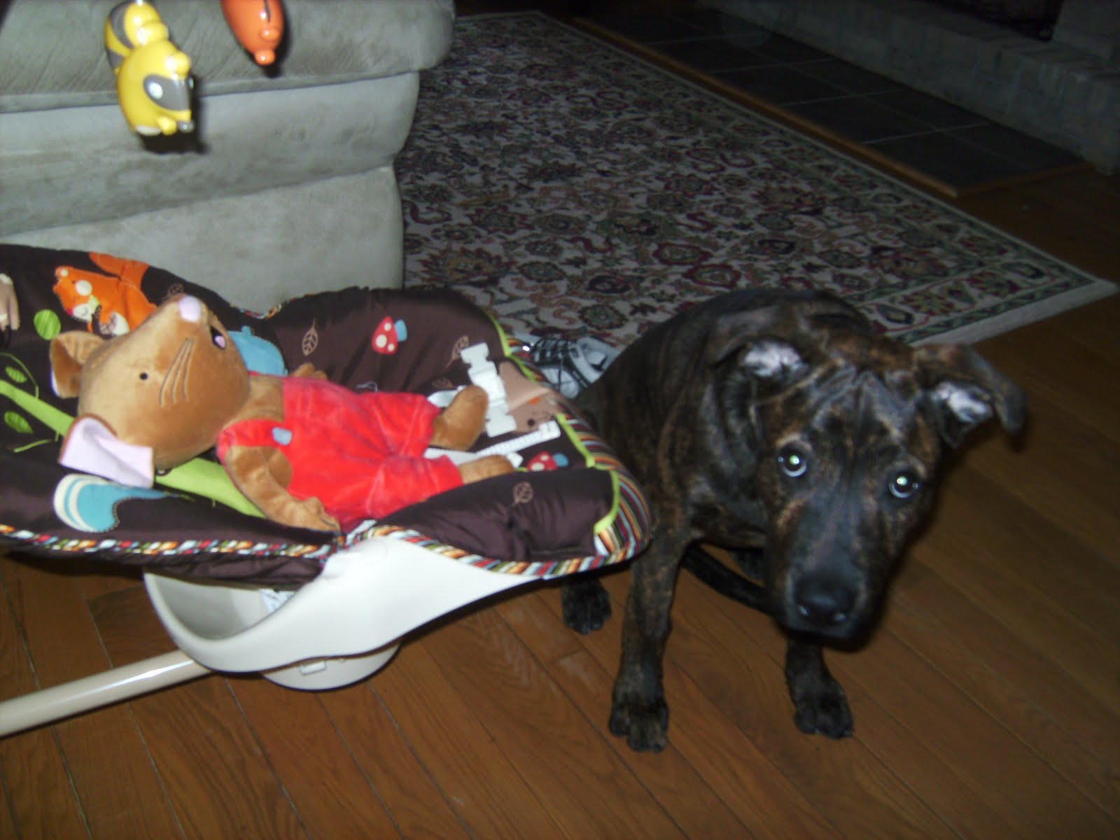 [February+2010+011.jpg]