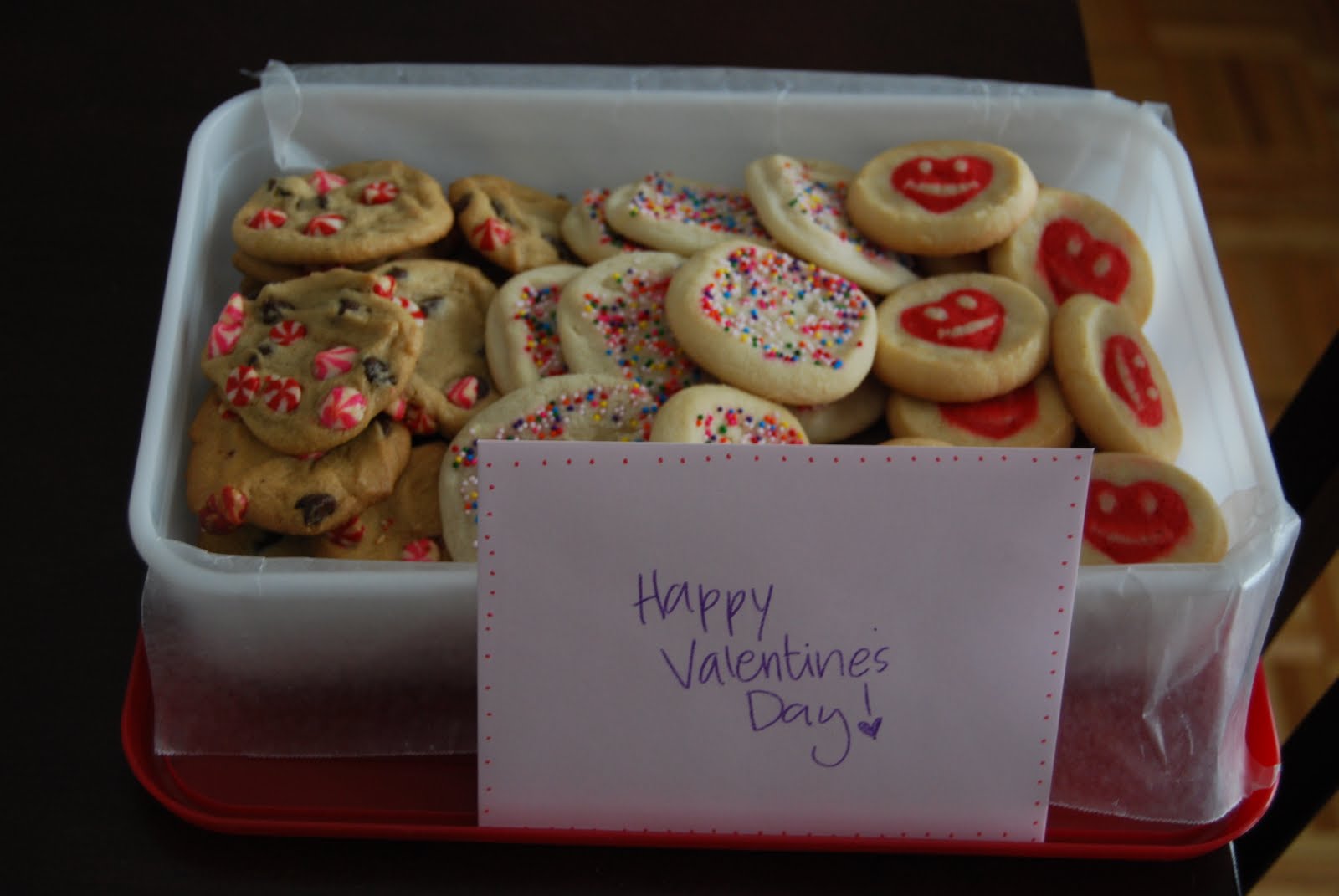 [February+2010+004.jpg]