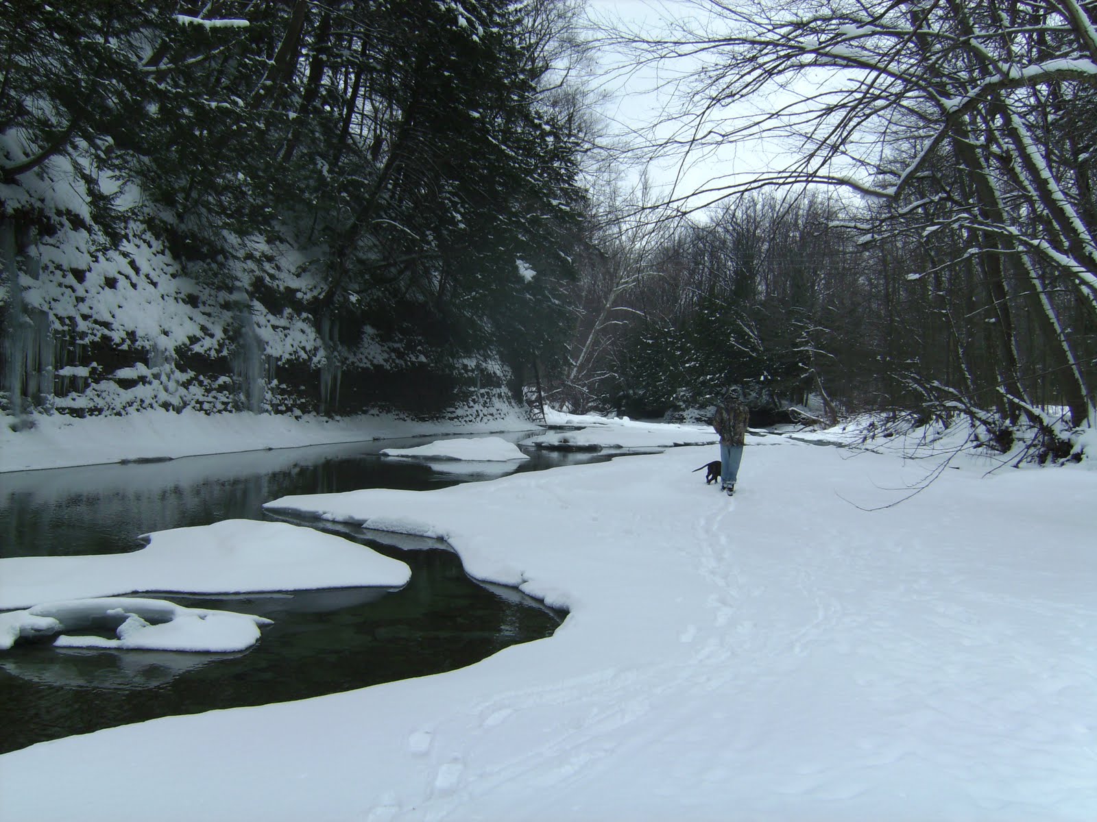 [February+2010+026.jpg]