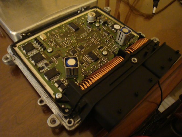 [DSC00095.JPG]