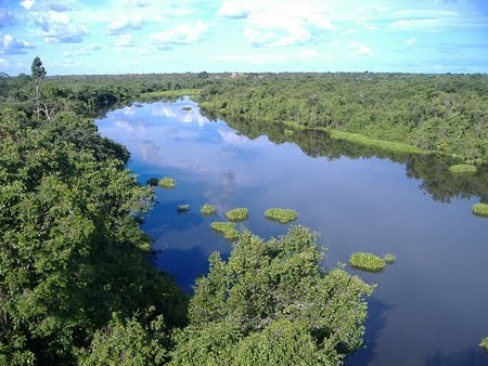 Área de Proteção Ambiental Cabeceiras do Rio Cuiabá | Mato Grosso Área de Proteção Ambiental Cabeceiras do Rio Cuiabá | Mato Grosso