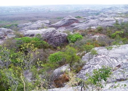 PARQUE NACIONAL DA SERRA DAS CONFUSÕES - PIAUÍ PARQUE NACIONAL DA SERRA DAS CONFUSÕES - PIAUÍ