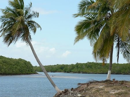 Reserva Biológica Santa Isabel | Sergipe Reserva Biológica Santa Isabel | Sergipe