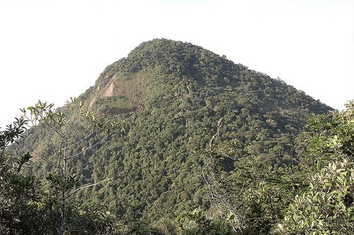 Parque Estadual Maciço da Pedra Branca | Rio de Janeiro Parque Estadual Maciço da Pedra Branca | Rio de Janeiro