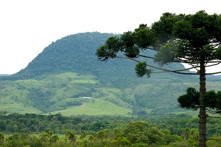 Área de Proteção Ambiental da Serra da Esperança | PR