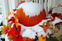 Snow+on+Pumpkin.jpg