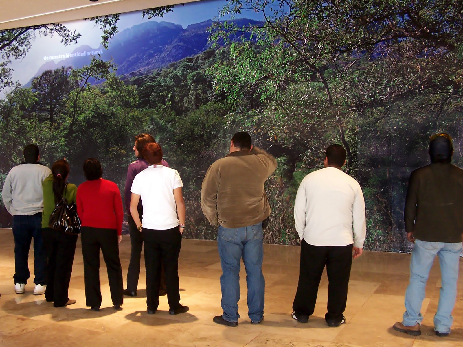 Monterrey, México Año internacional de los bosques