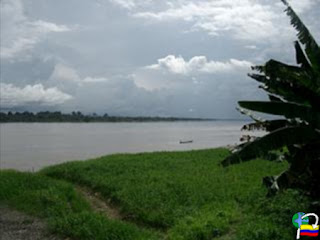 PARQUE NACIONAL NATURAL RIO PURÈ :: Natucolombia
