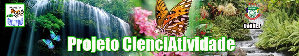 Projeto CienciAtividade