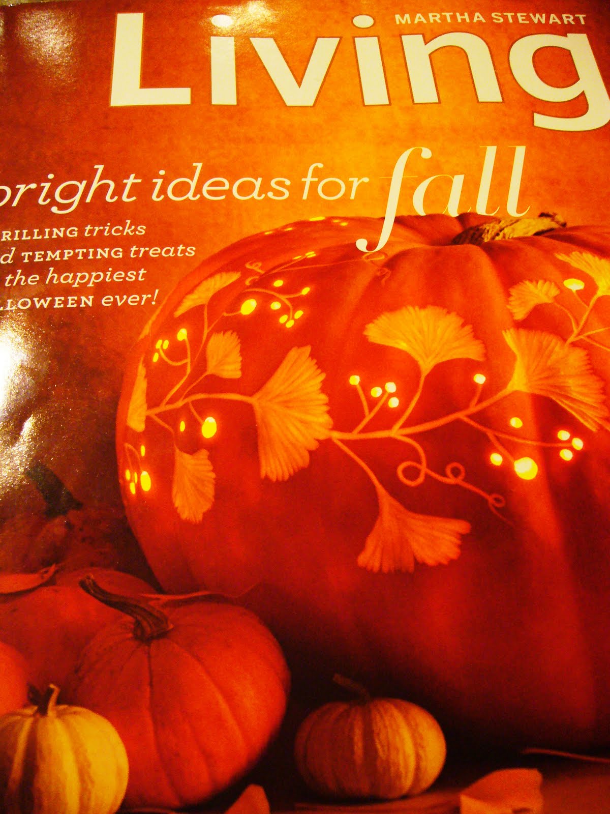 a thread from the edge Girdles!