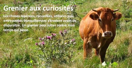 Grenier aux curiosités