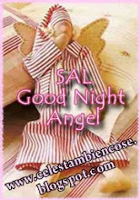 sal good night angel. terminado