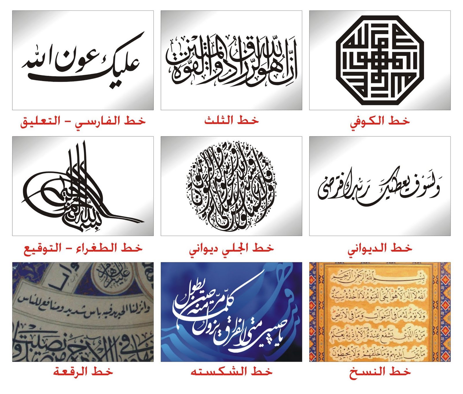 هذه بعض الخطوط العربية