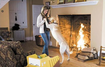 Pet Pedia Jennifer Aniston Having Great Time With Quot Norman Quot