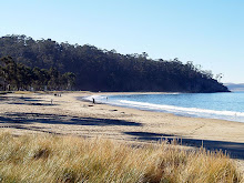 Browns River beach (now Kingston) located on Derwent River, Tasmania