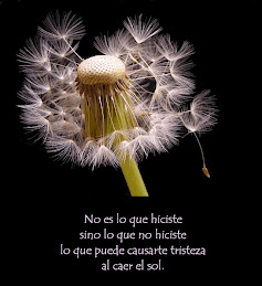 Lo que no hiciste