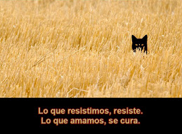 Lo que amamos