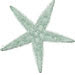Click on the starfish to visit our other Starfish Foster Home