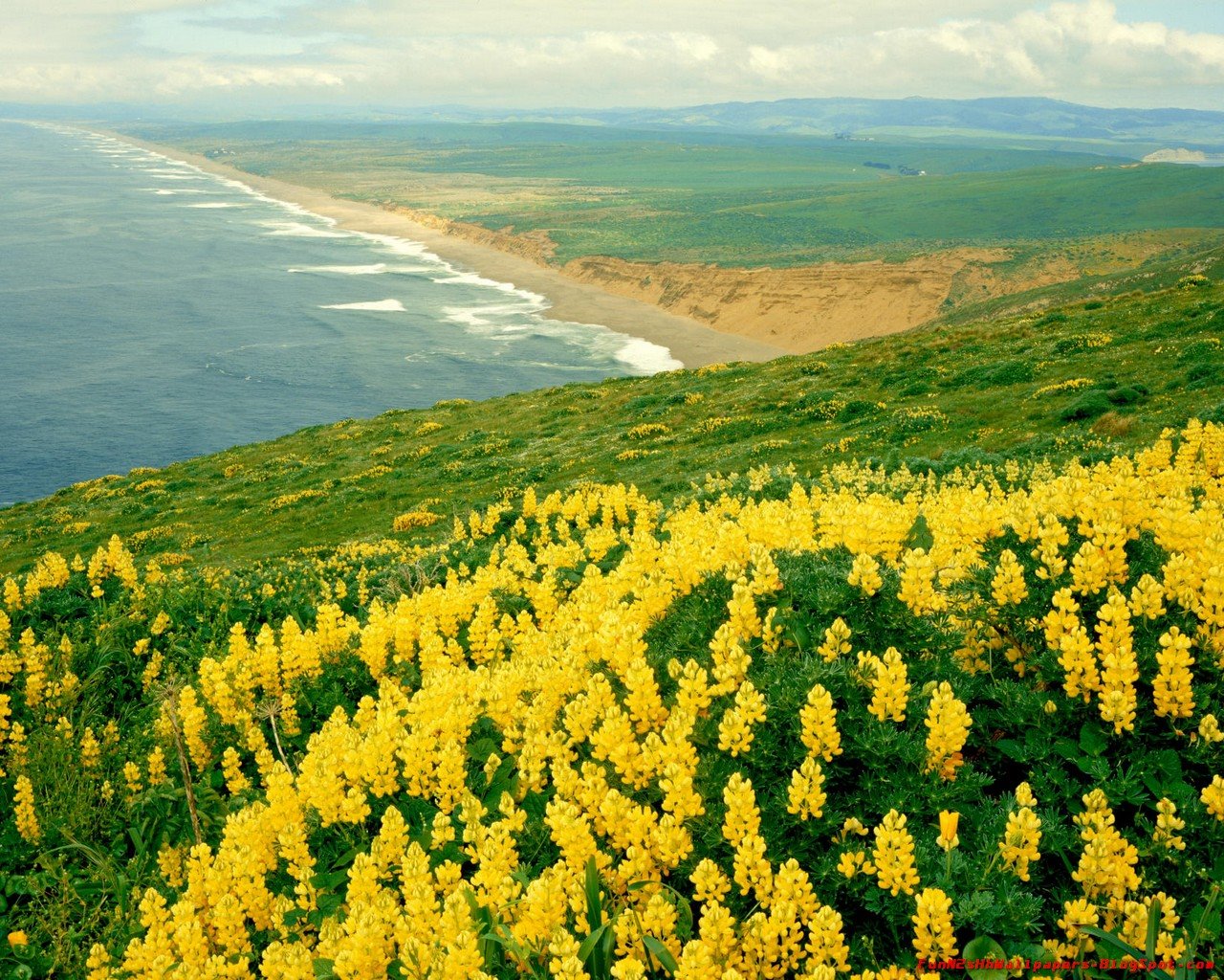 [FunN2sHhWallPapers.Blogspot.com_California.Walls_29.jpg]