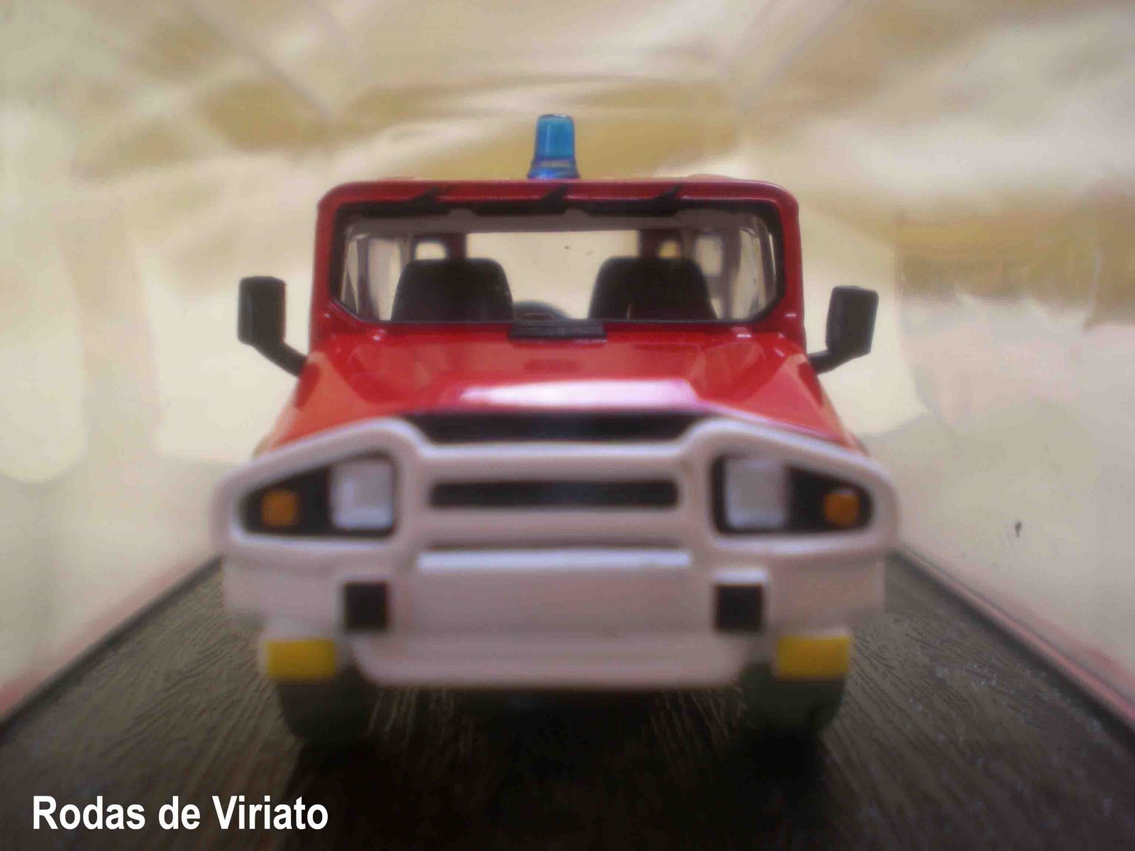 [umm+miniatura+del+monte+frente.jpg]