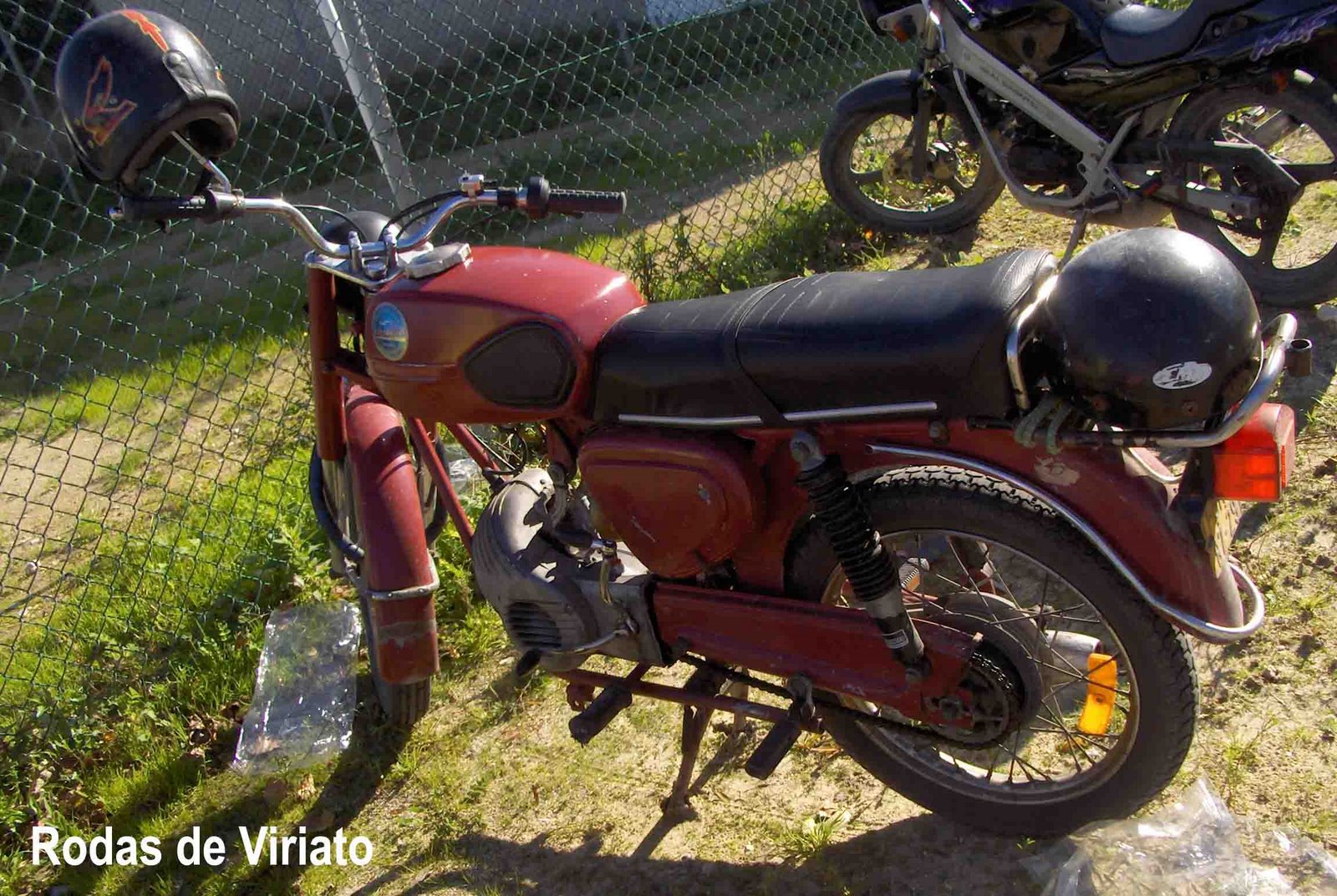 [piedense+total.jpg]