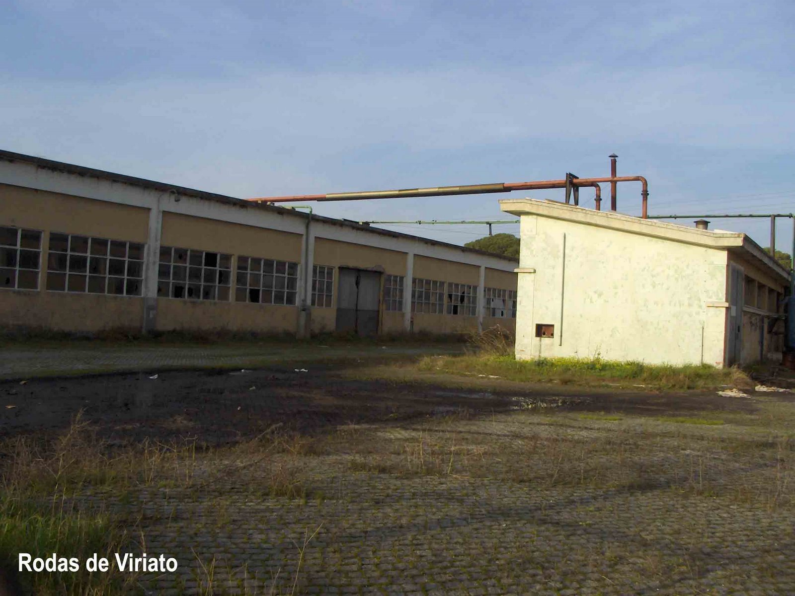 [movauto+edificios.jpg]