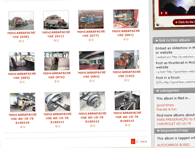 [busesofportugal1.jpg]