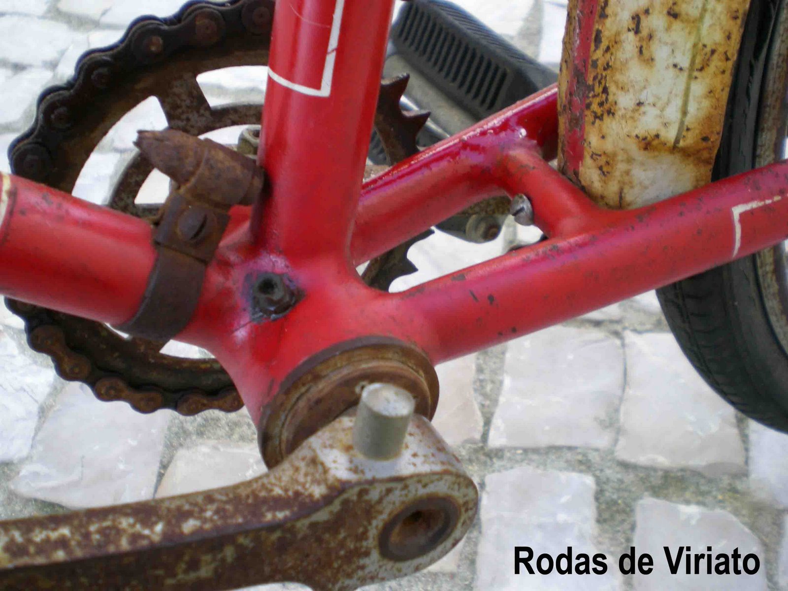 [the+champion+5.jpg]