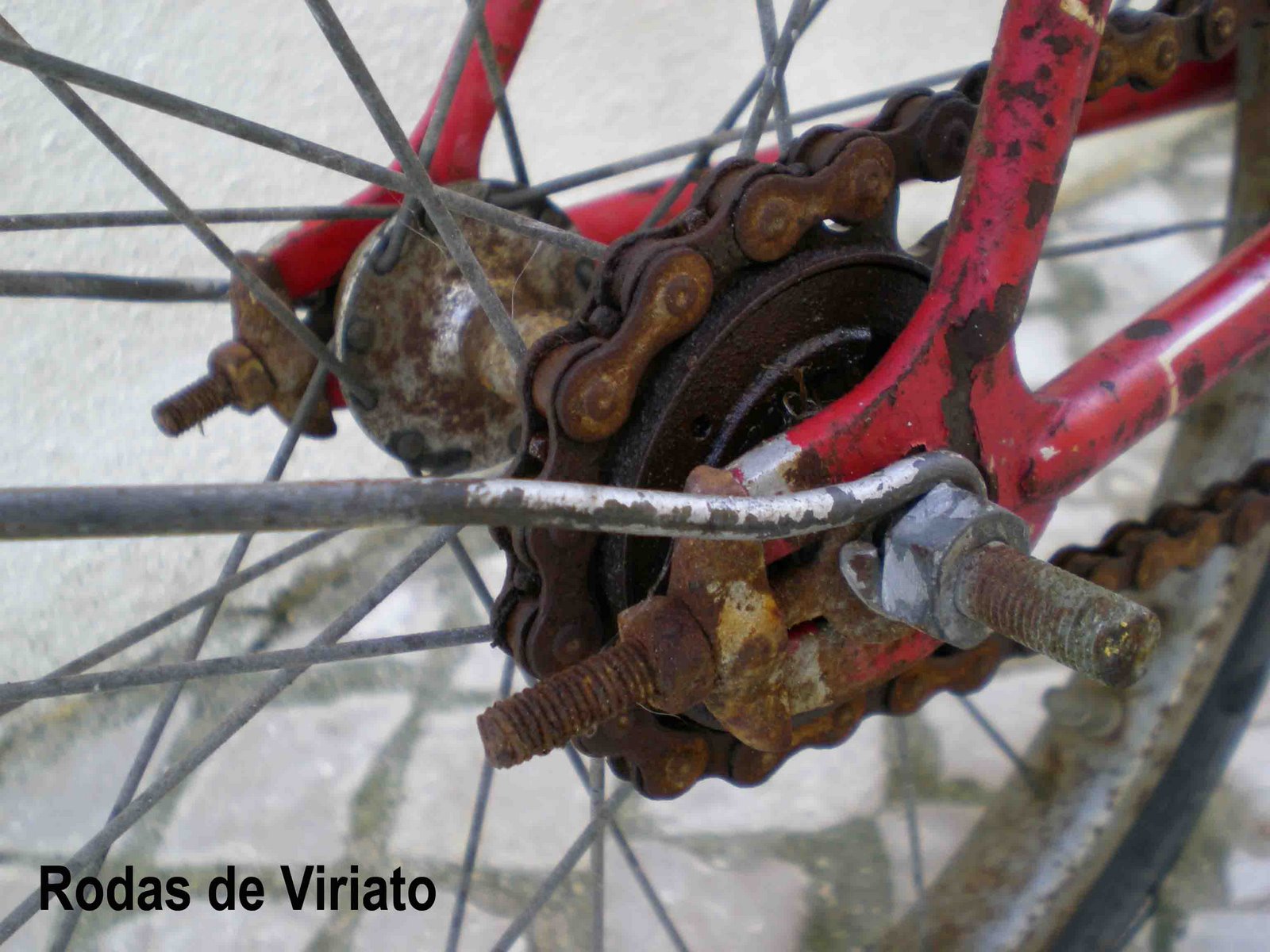 [the+champion+roda+traseira.jpg]