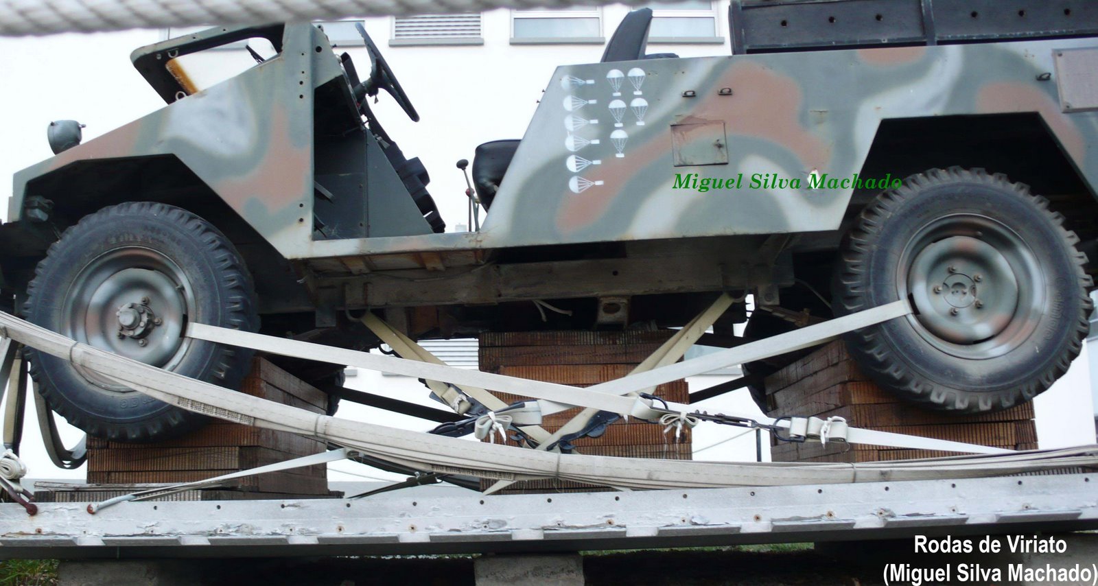 [UMM_LAPES_2_RV.jpg]