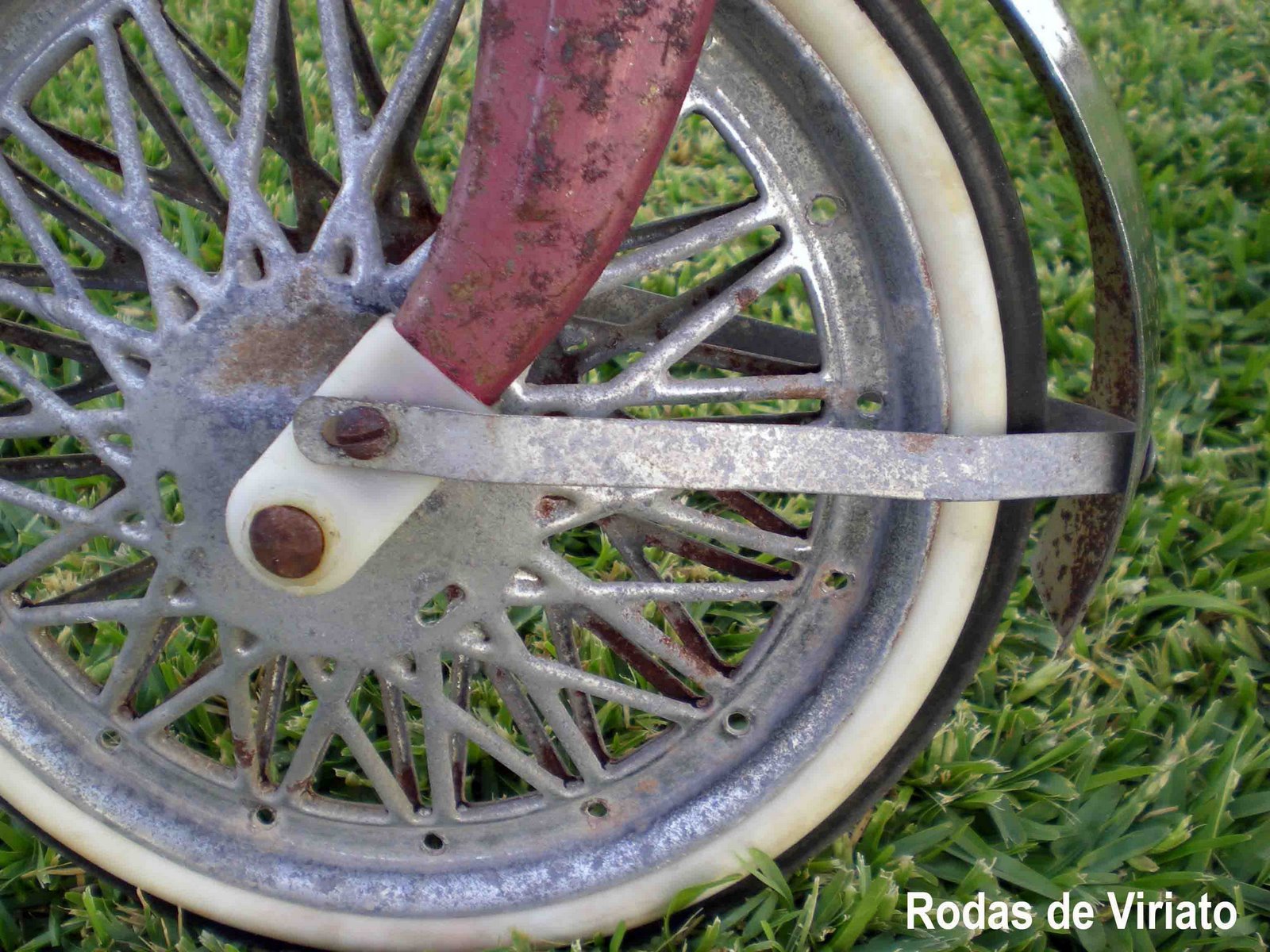 [sobrinca+deluxo+roda.jpg]