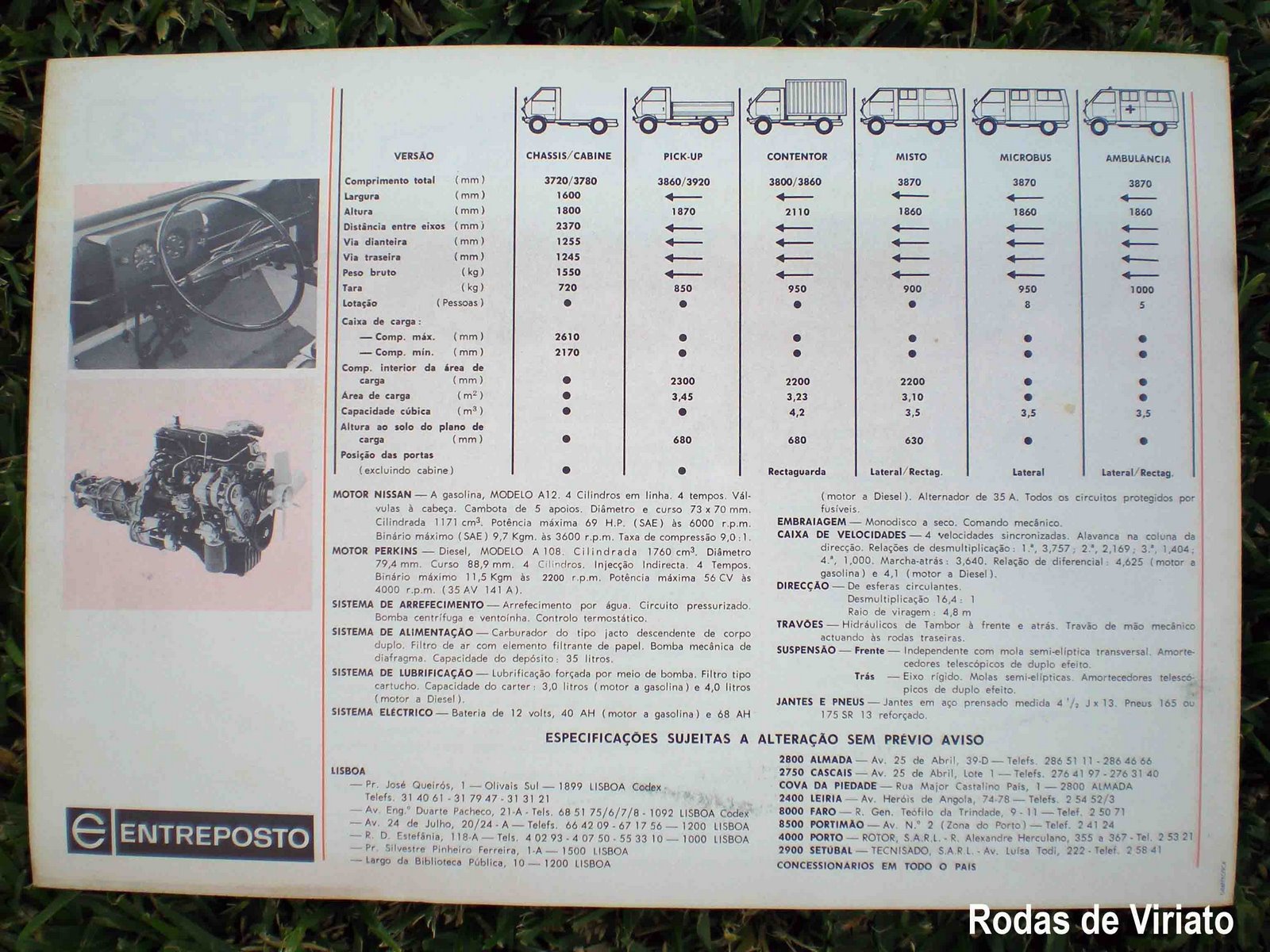 [datsun+sado+cat3.jpg]