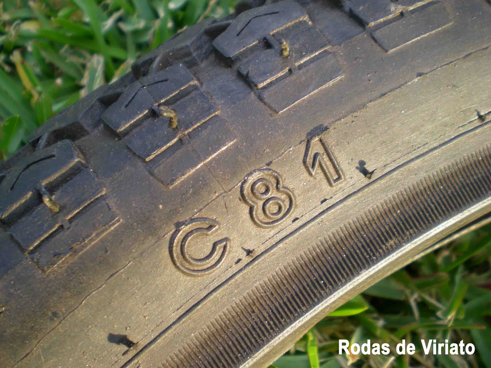 [cnp+c81a.jpg]