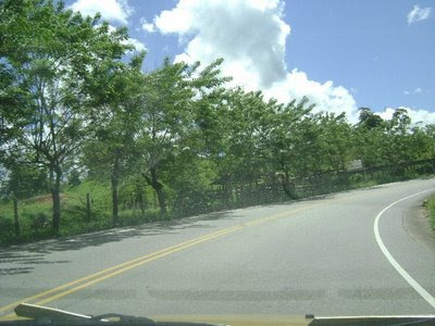 Otra óptica del desarrollo: Genética del Mata Ratón (Gliricidia sepium)