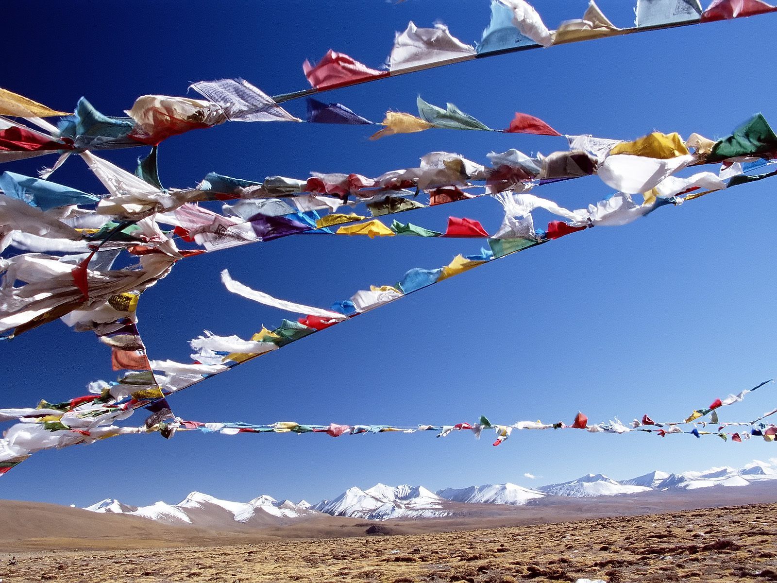 [Flag Bunting, TIbet.jpg]